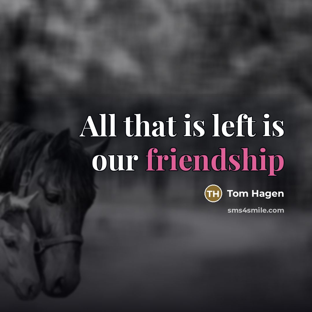“All that is left is our friendship…” quote by Tom Hagen