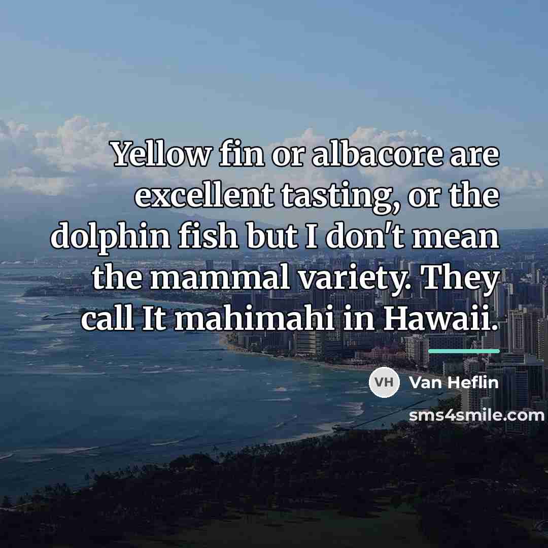 “Yellow fin or albacore are excellent tasting, or the dolphin…” quote by Van Heflin