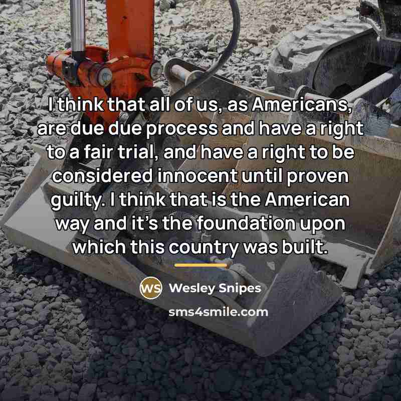 “I think that all of us, as Americans, are due…” quote by Wesley Snipes
