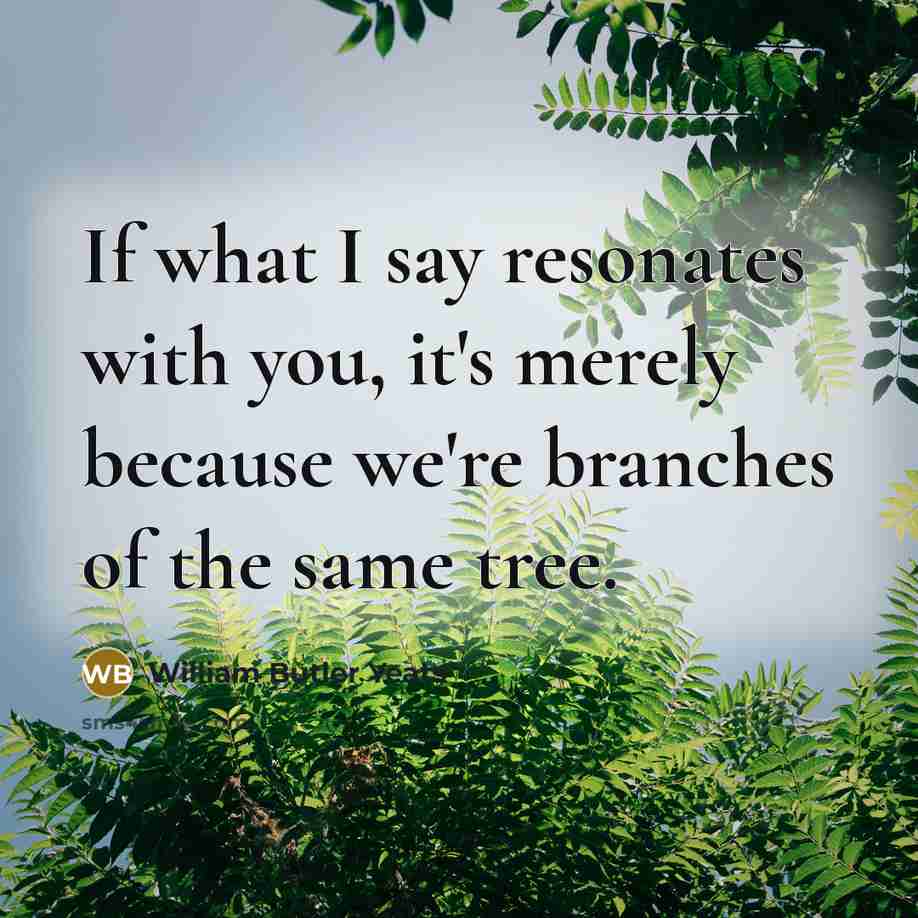 “If what I say resonates with you, it's merely because…” quote by William Butler Yeats