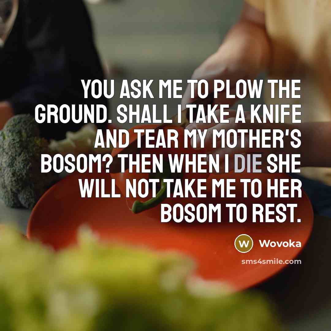 “You ask me to plow the ground. Shall I take…” quote by Wovoka