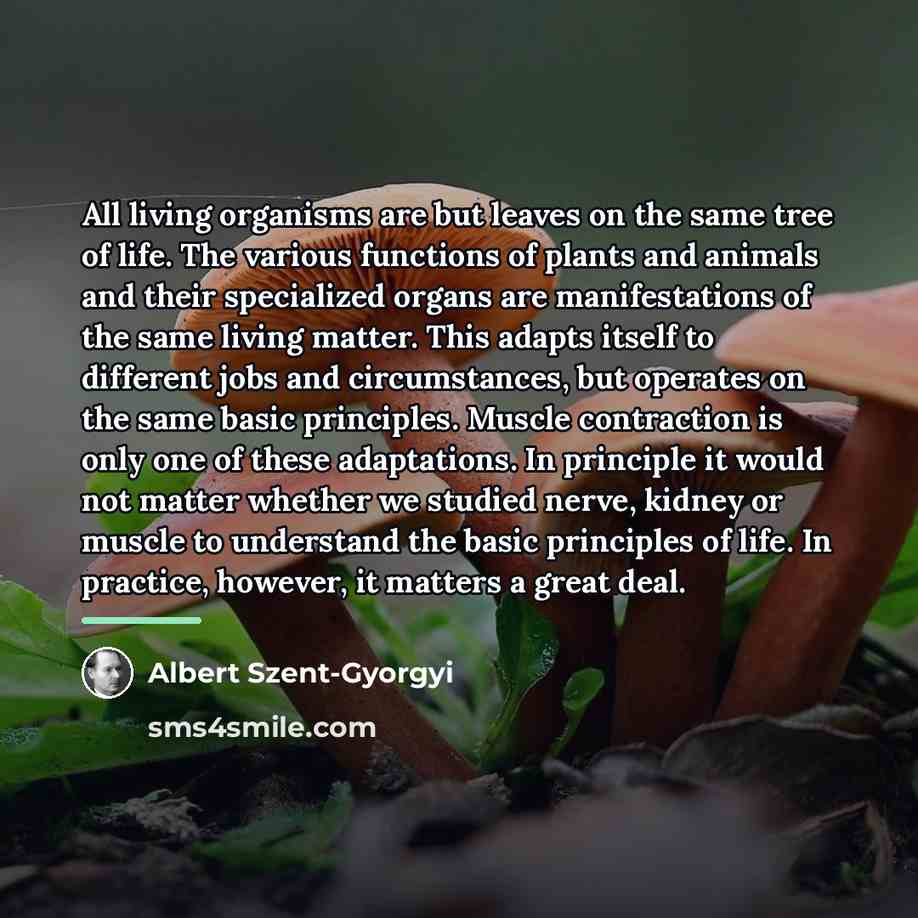 “All living organisms are but leaves on the same tree…” quote by Albert Szent-Gyorgyi