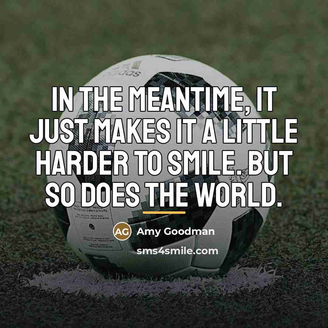 “In the meantime, it just makes it a little harder…” quote by Amy Goodman