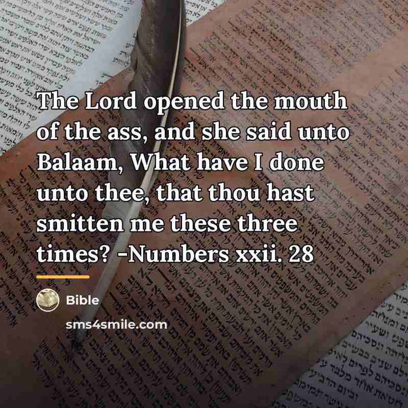 “The Lord opened the mouth of the ass, and she…” quote by Bible