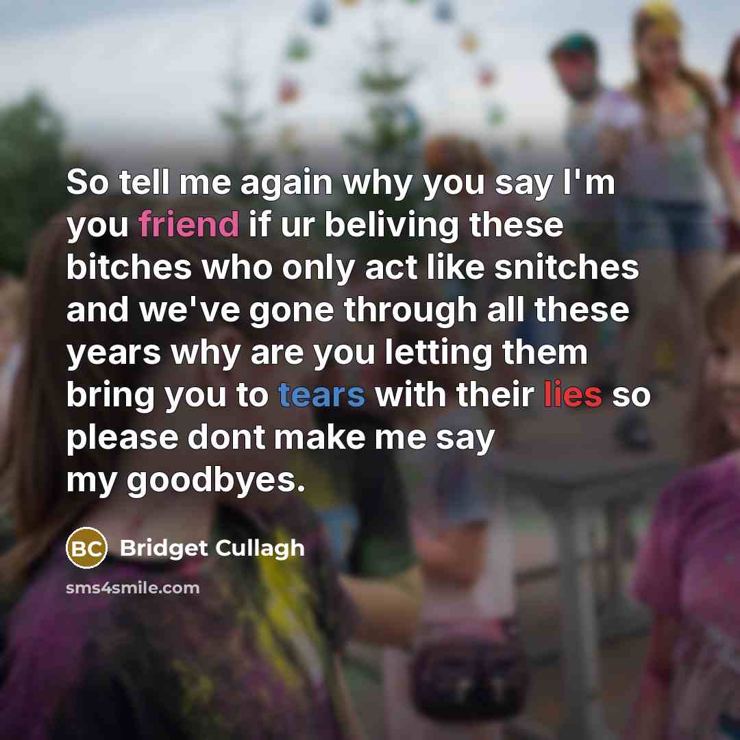 “So tell me again why you say I'm you friend if ur beliving these bitches who only act like snitches and we've gone through all these years why are you letting them bring you to tears with their lies so please dont make me say my goodbyes.” quote by Bridget Cullagh