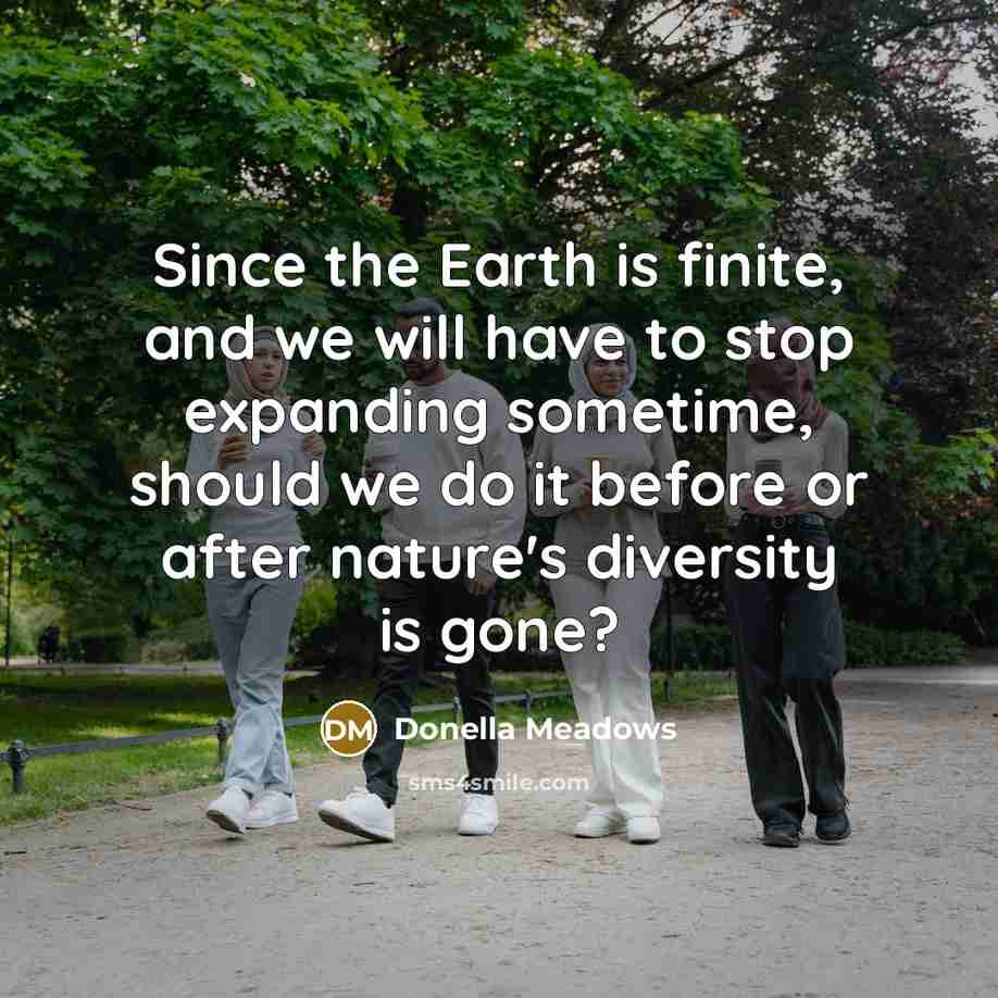 “Since the Earth is finite, and we will have to…” quote by Donella Meadows