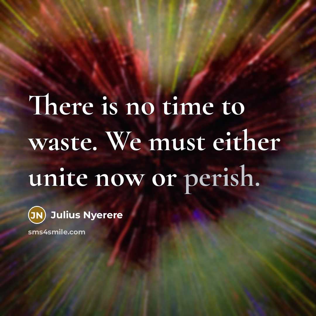 “There is no time to waste. We must either unite…” quote by Julius Nyerere