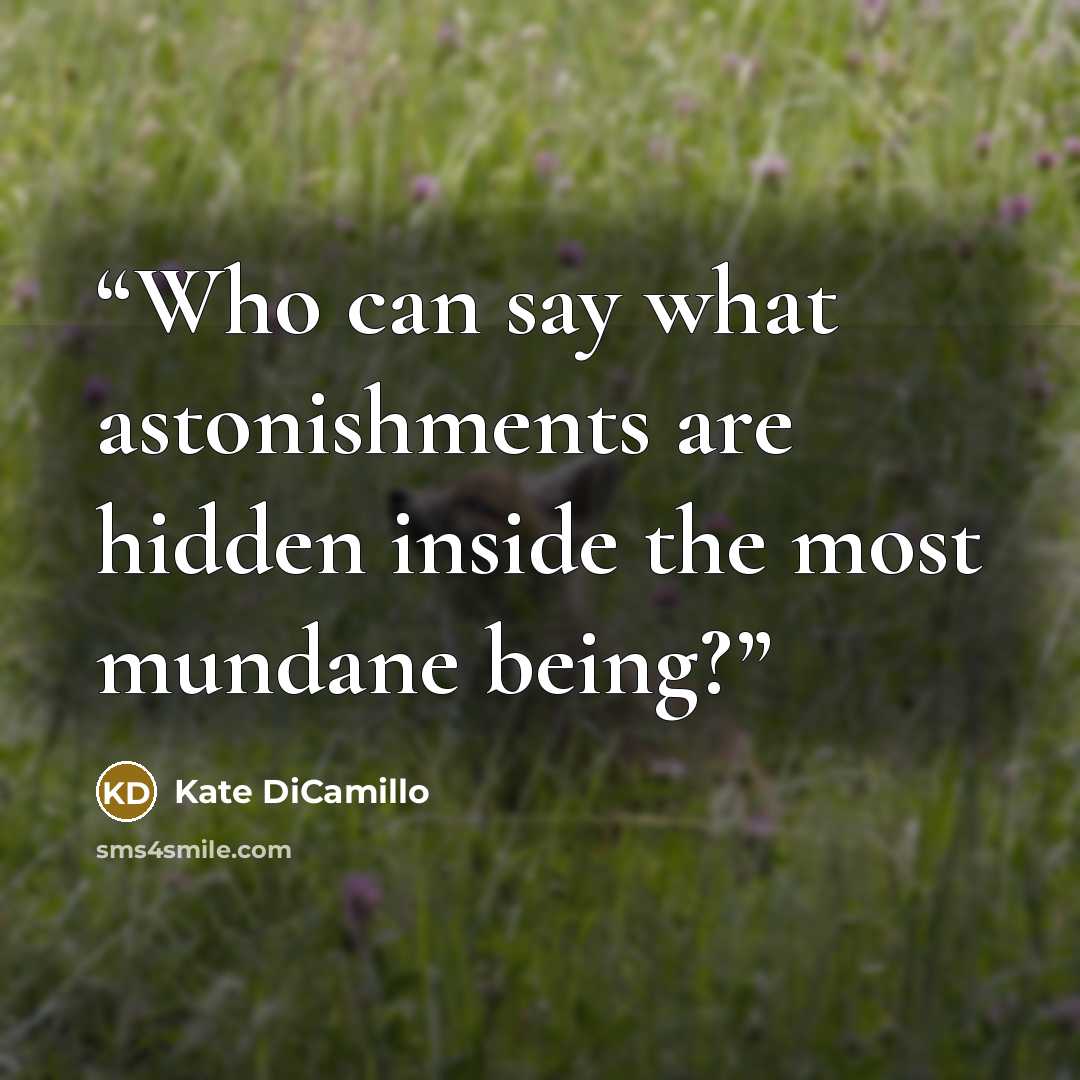 “Who can say what astonishments are hidden inside the most mundane being?” quote by Kate DiCamillo