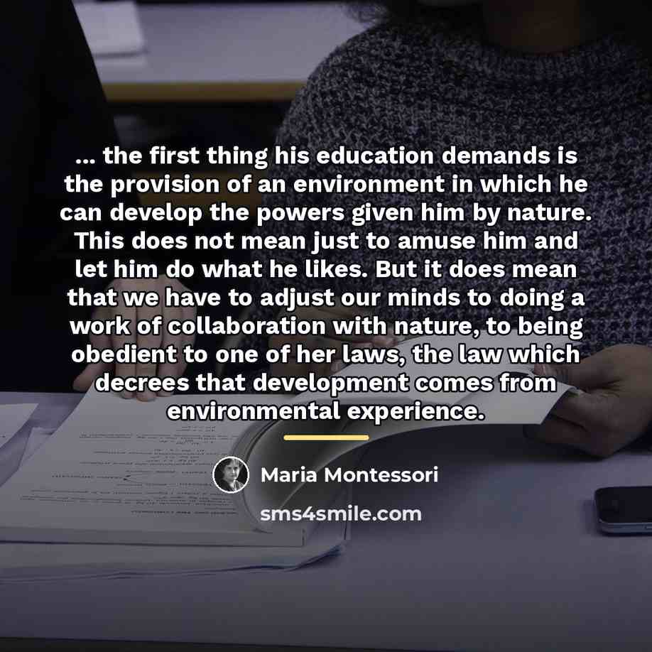 “... the first thing his education demands is the provision…” quote by Maria Montessori