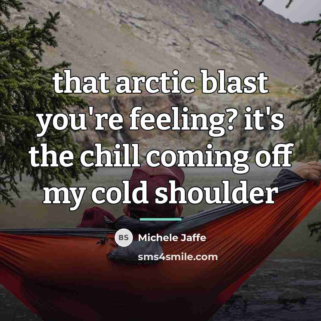 “that arctic blast you're feeling? it's the chill coming off…” quote by Michele Jaffe