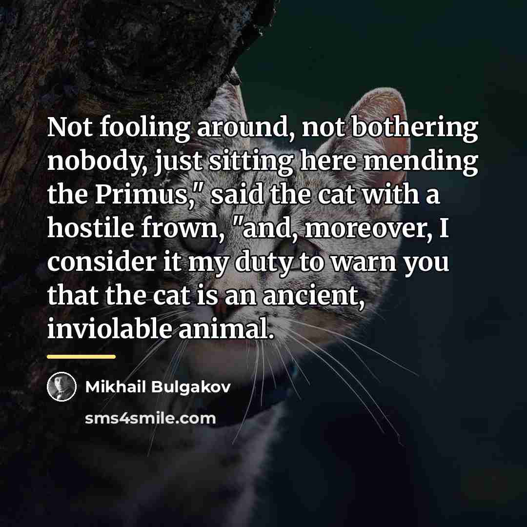 “Not fooling around, not bothering nobody, just sitting here mending…” quote by Mikhail Bulgakov