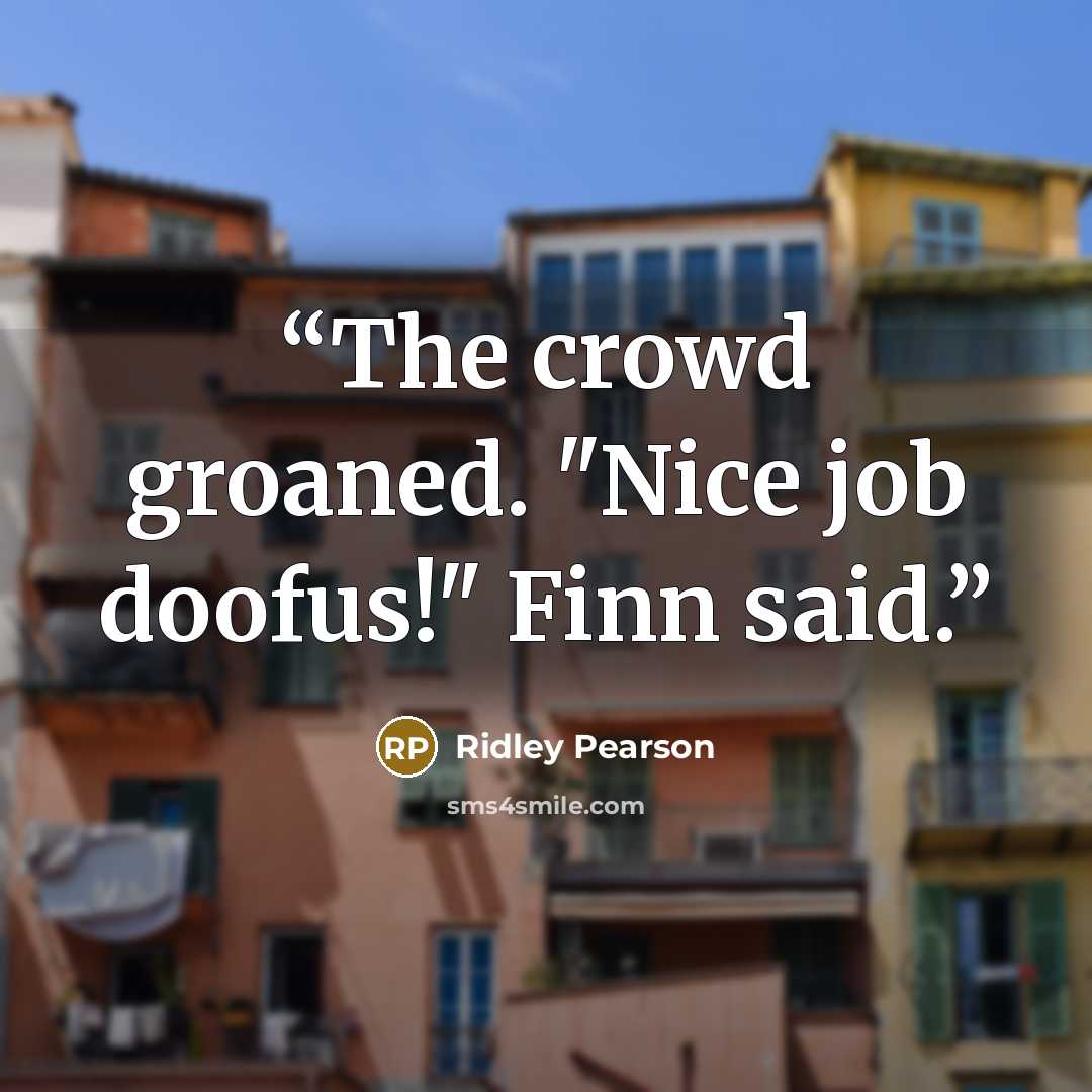 “The crowd groaned. "Nice job doofus!" Finn said.” quote by Ridley Pearson