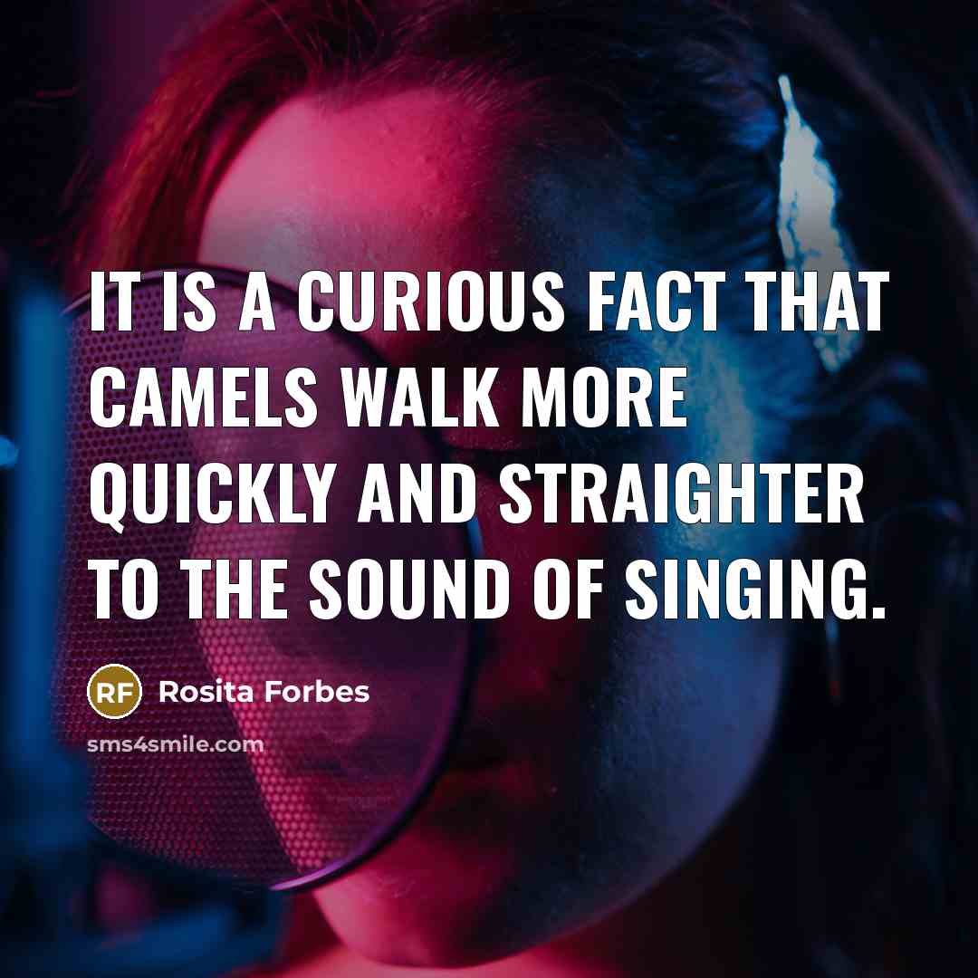 “it is a curious fact that camels walk more quickly…” quote by Rosita Forbes