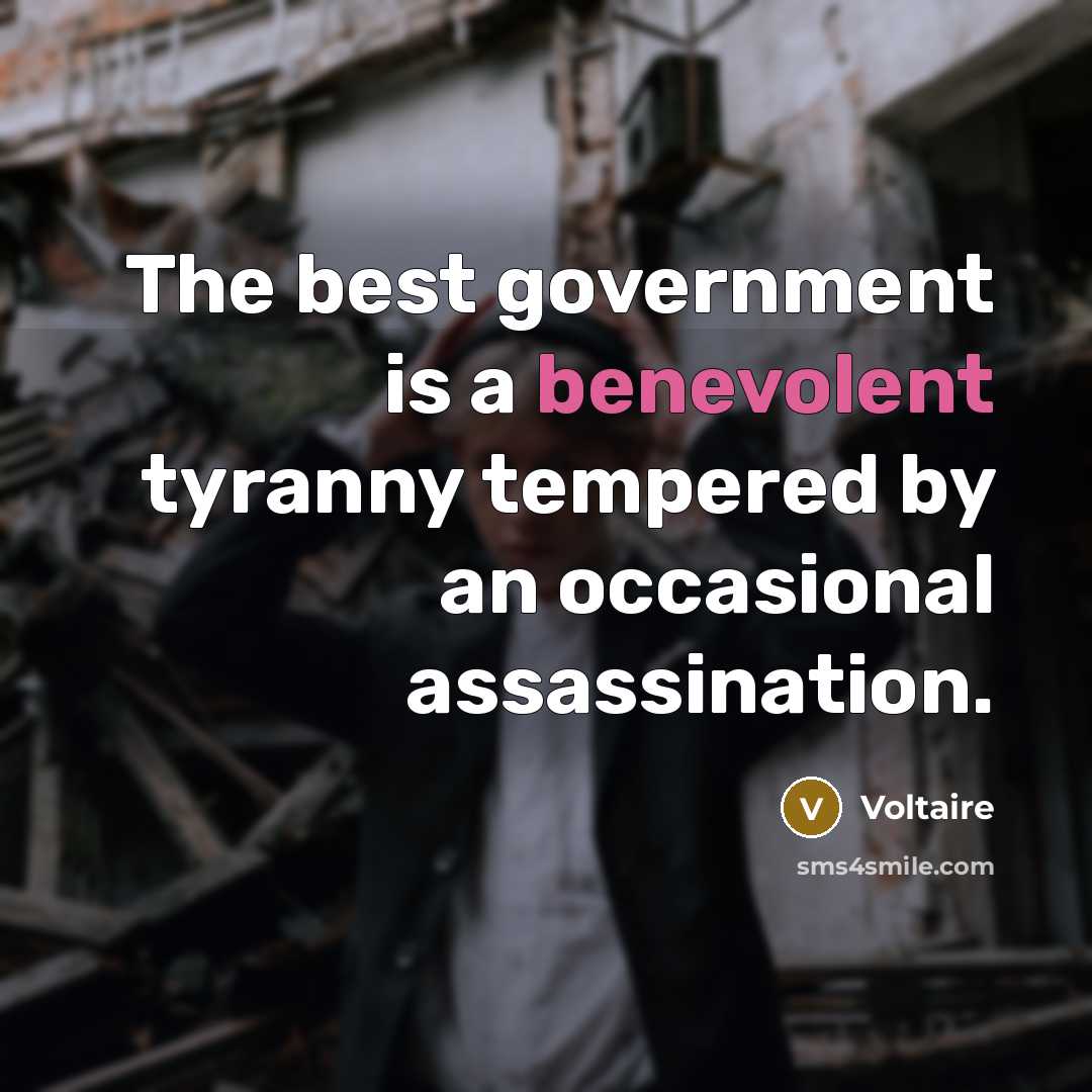 “The best government is a benevolent tyranny tempered by an…” quote by Voltaire