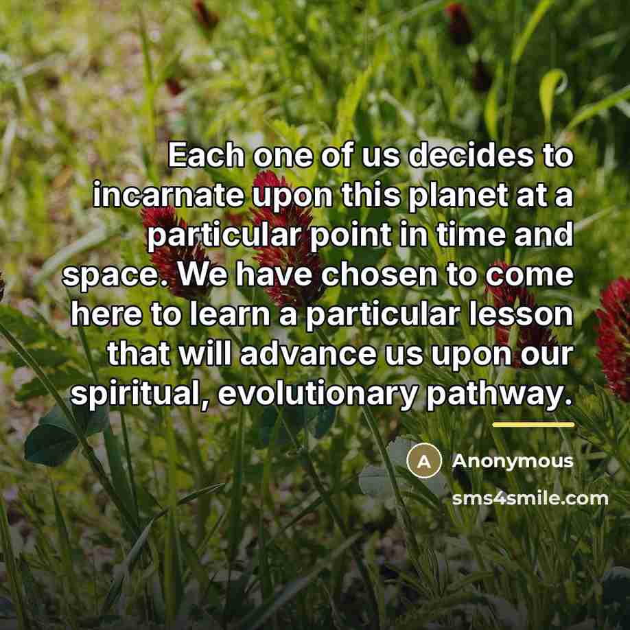 “Each one of us decides to incarnate upon this planet…” quote by Anonymous