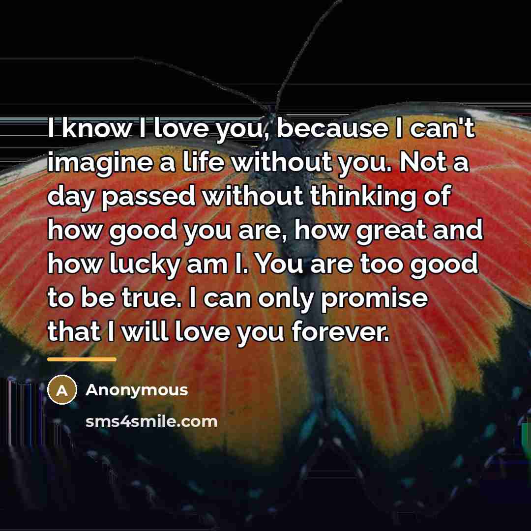 “I know I love you, because I can't imagine a…” quote by Anonymous