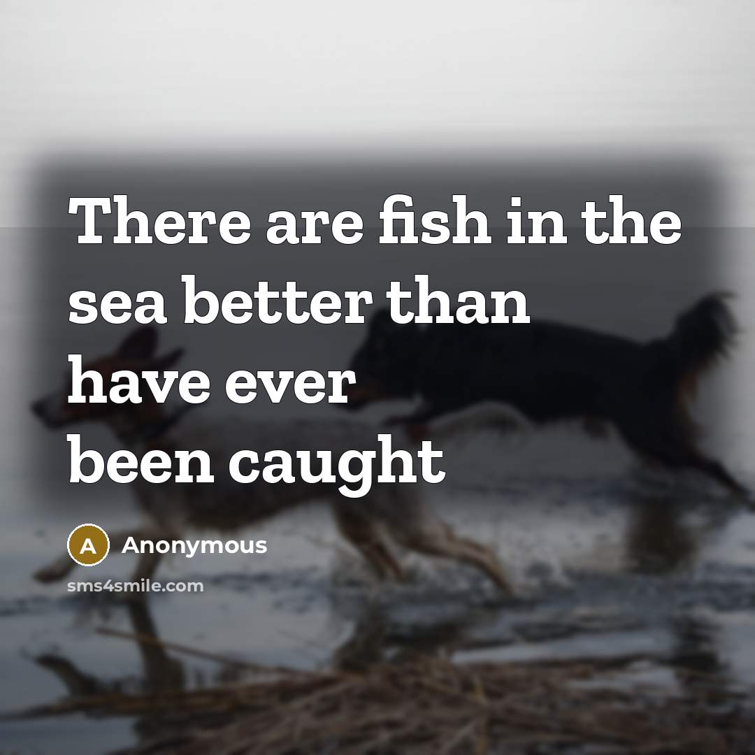 “There are fish in the sea better than have ever been caught” quote by Anonymous