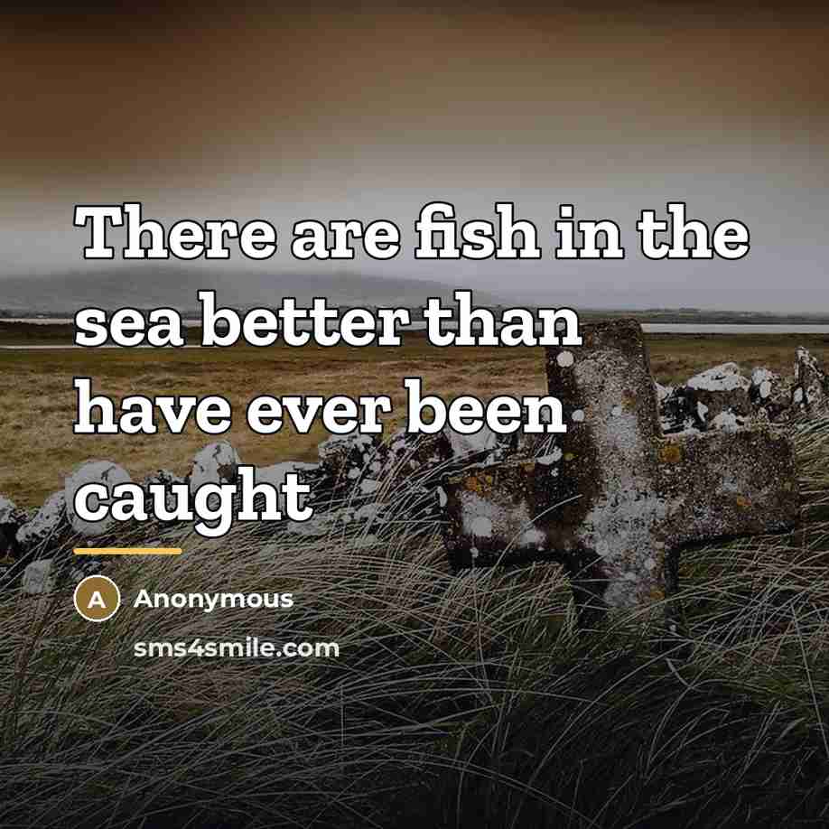 “There are fish in the sea better than have ever…” quote by Anonymous
