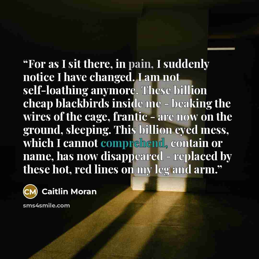 “For as I sit there, in pain, I suddenly notice I have changed. I am not self-loathing anymore. These billion cheap blackbirds inside me - beaking the wires of the cage, frantic - are now on the ground, sleeping. This billion eyed mess, which I cannot comprehend, contain or name, has now…” quote by Caitlin Moran