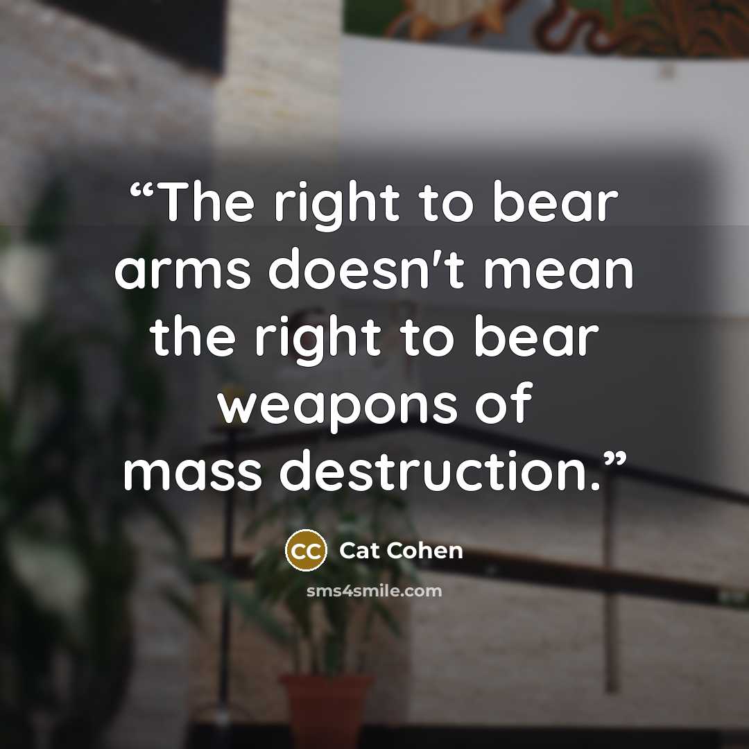 “The right to bear arms doesn't mean the right to bear weapons of mass destruction.” quote by Cat Cohen