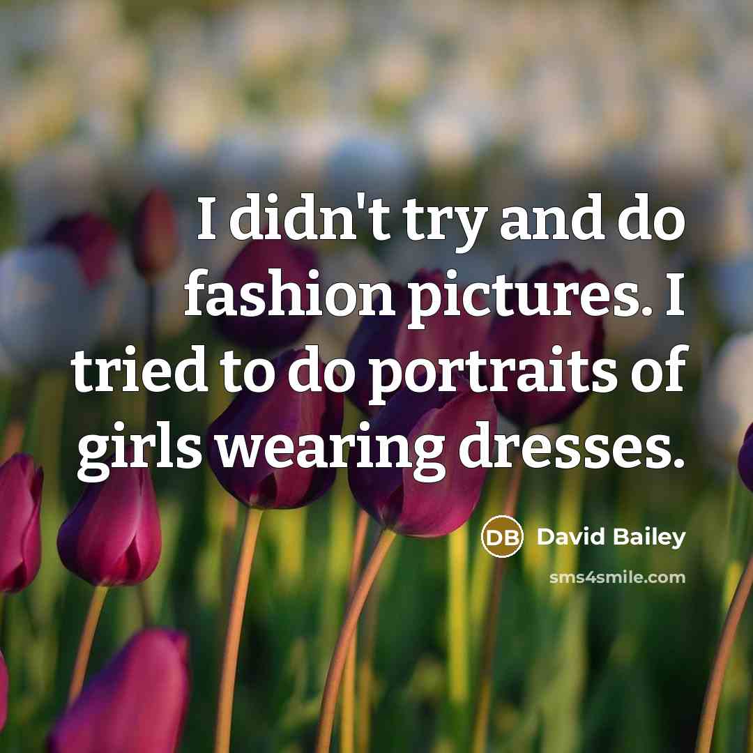 “I didn't try and do fashion pictures. I tried to…” quote by David Bailey
