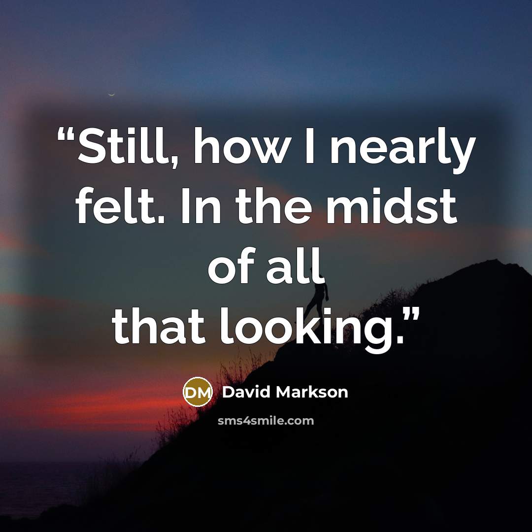 “Still, how I nearly felt. In the midst of all that looking.” quote by David Markson