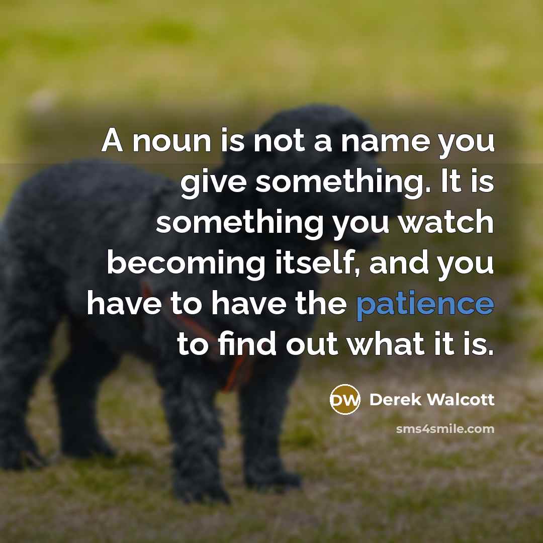 “A noun is not a name you give something. It…” quote by Derek Walcott