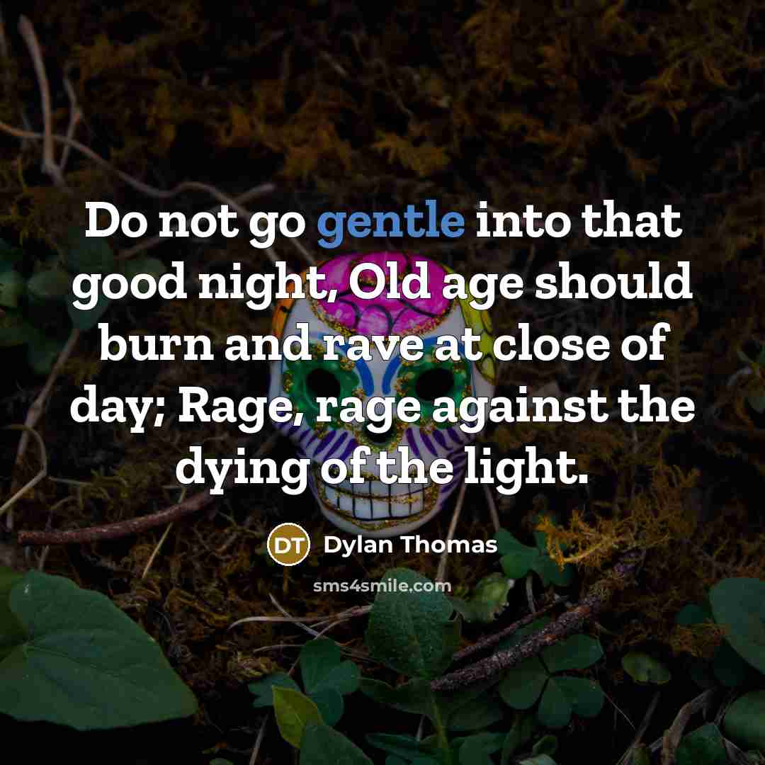 “Do not go gentle into that good night, Old age…” quote by Dylan Thomas