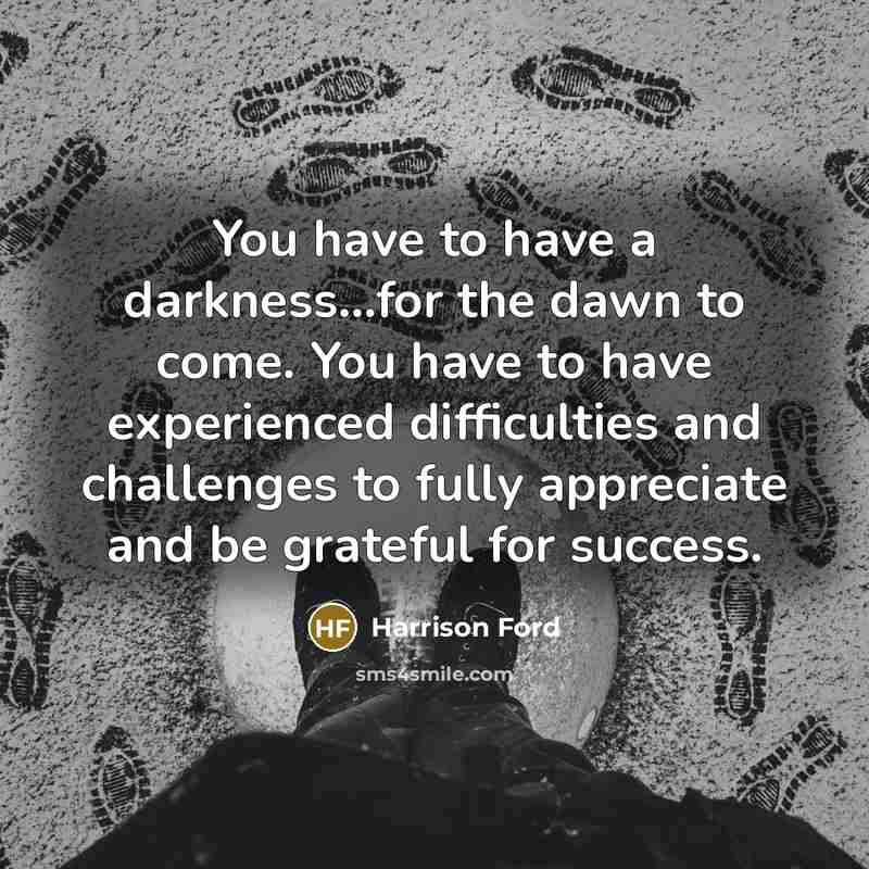 “You have to have a darkness...for the dawn to come.…” quote by Harrison Ford