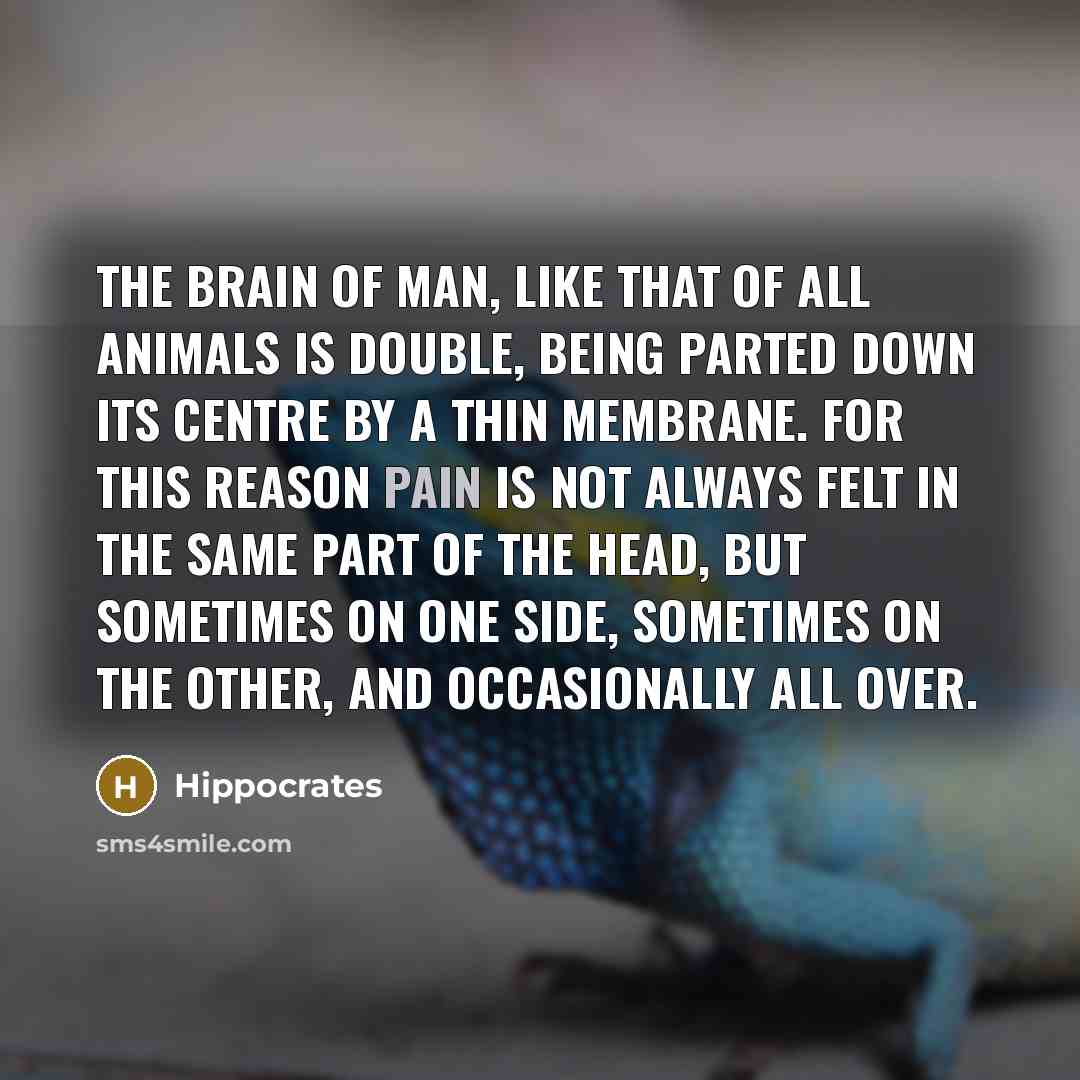 “The brain of man, like that of all animals is…” quote by Hippocrates