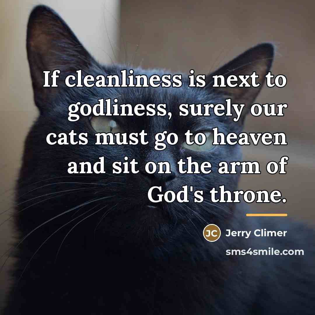 “If cleanliness is next to godliness, surely our cats must…” quote by Jerry Climer