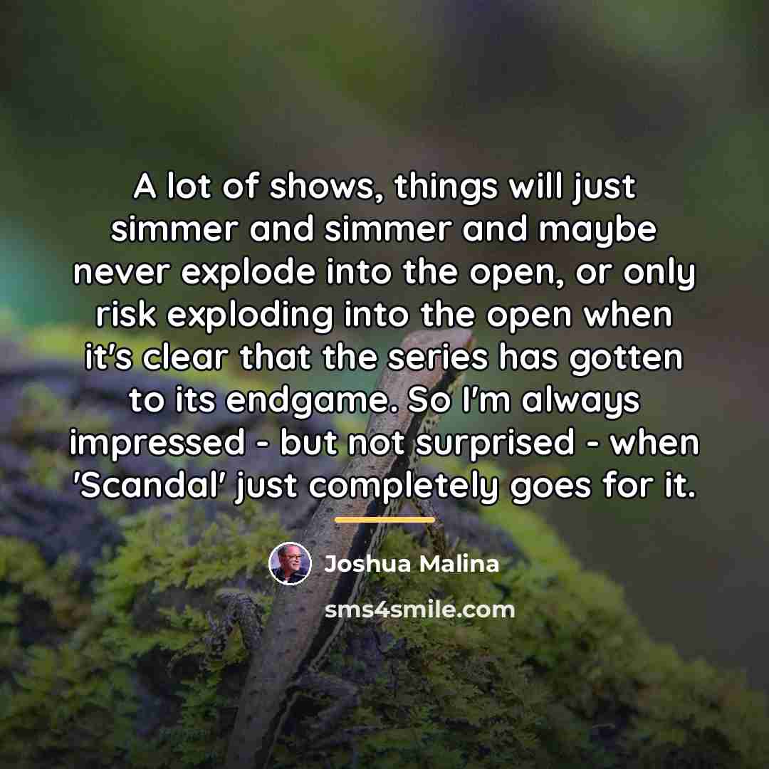 “A lot of shows, things will just simmer and simmer…” quote by Joshua Malina