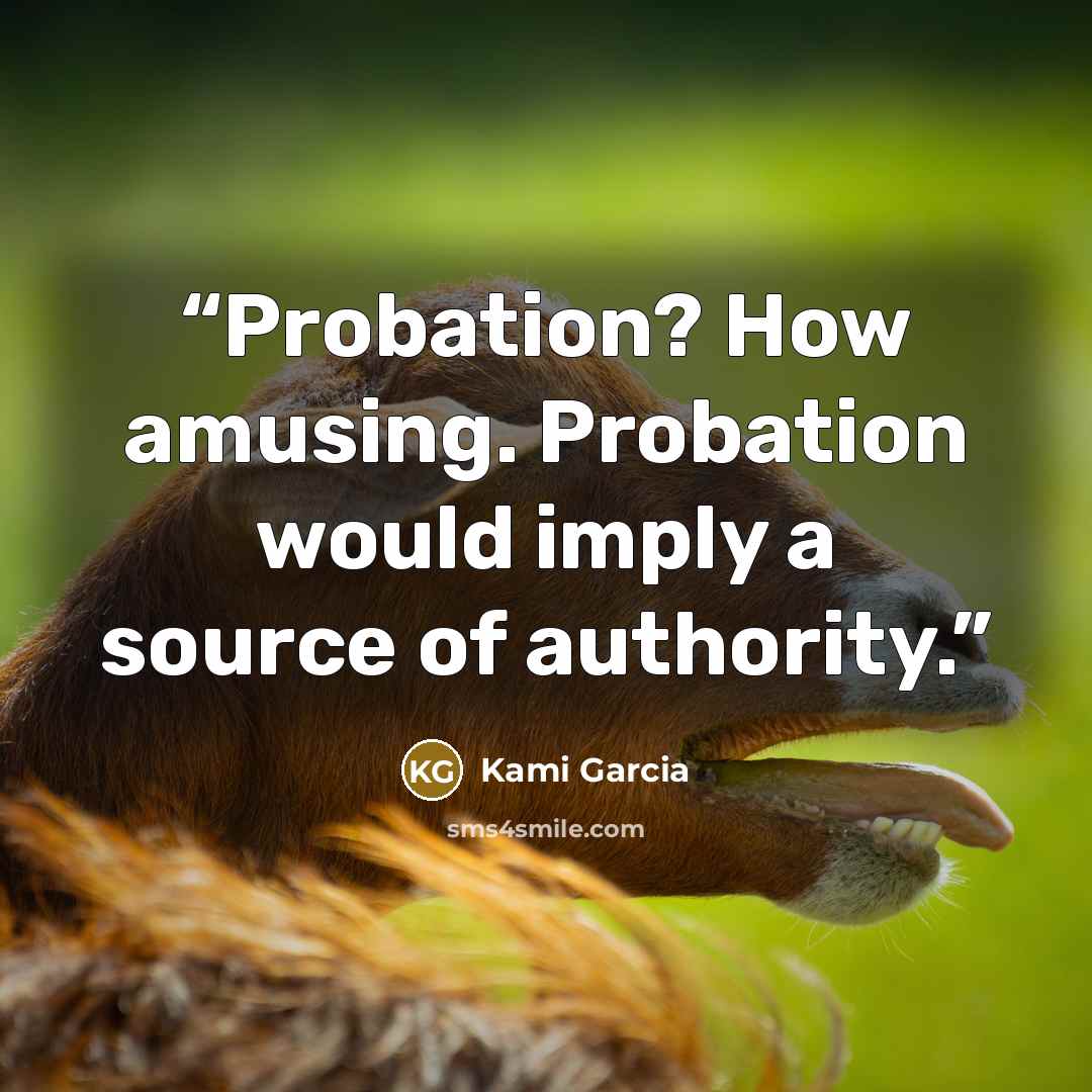“Probation? How amusing. Probation would imply a source of authority.” quote by Kami Garcia