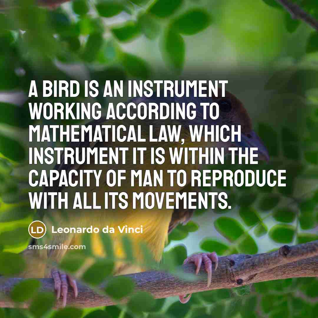 “A bird is an instrument working according to mathematical law,…” quote by Leonardo da Vinci