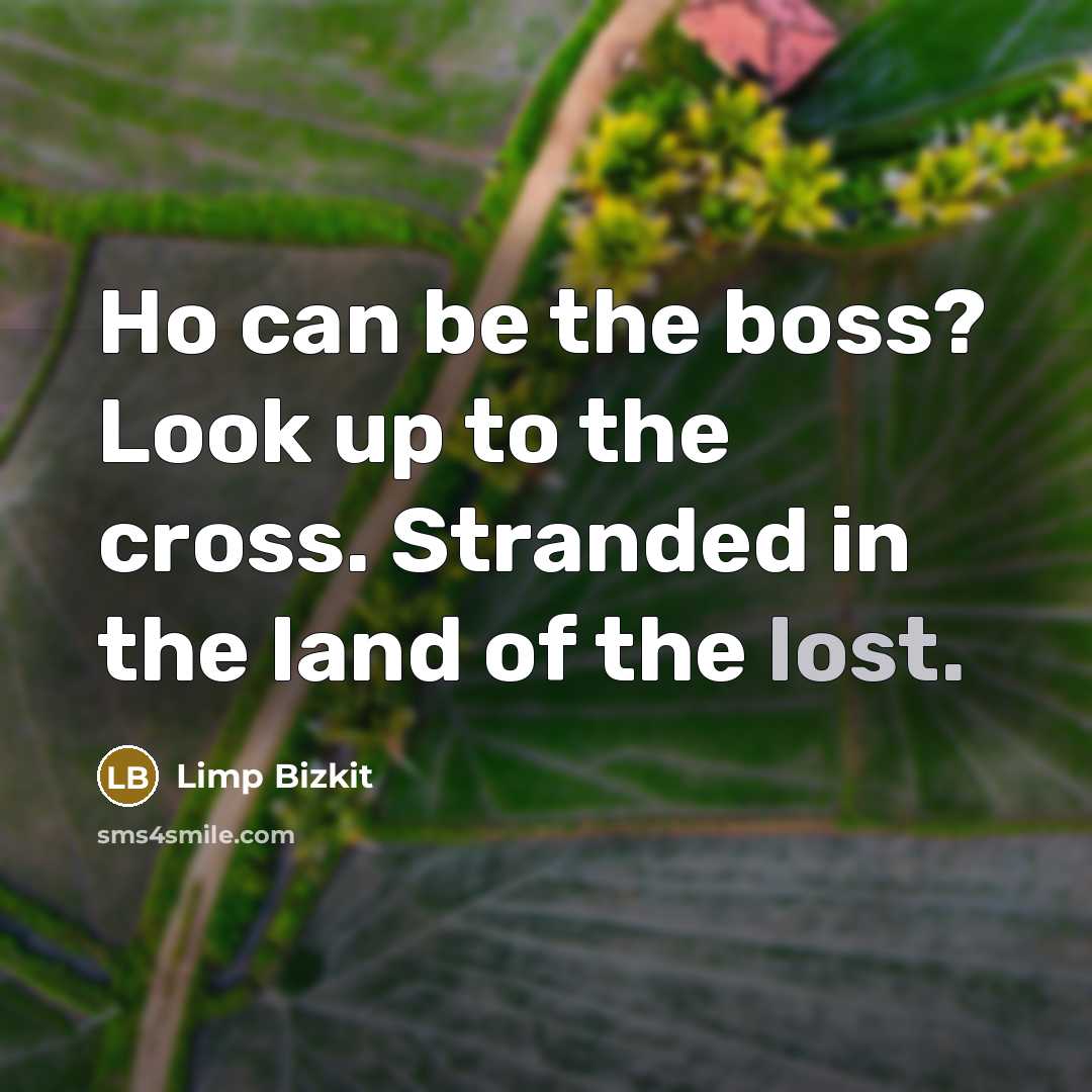 “Ho can be the boss? Look up to the cross. Stranded in the land of the lost.” quote by Limp Bizkit