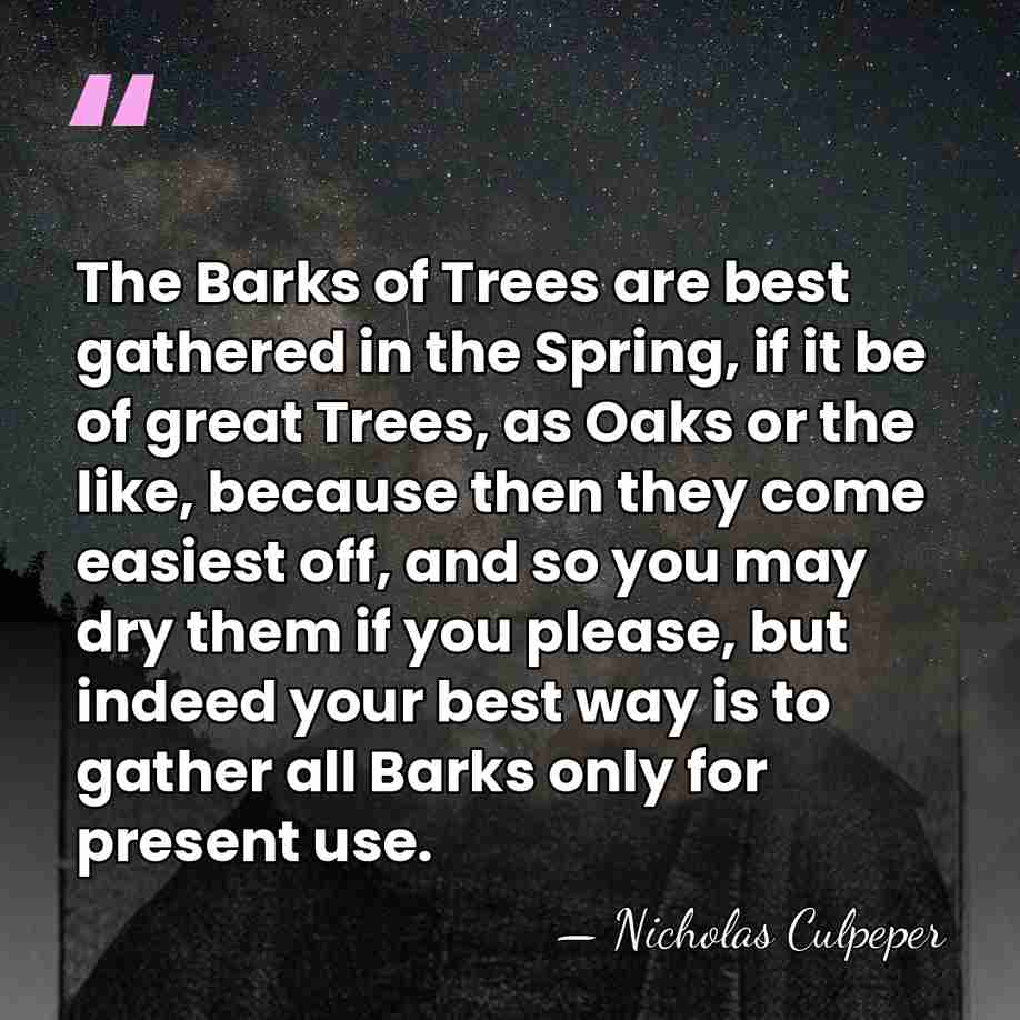 The Barks of Trees are best gathered in the Spring, if it&hellip; - Nicholas Culpeper