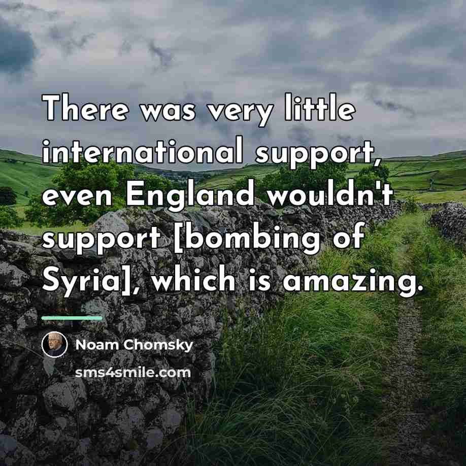 “There was very little international support, even England wouldn't support…” quote by Noam Chomsky