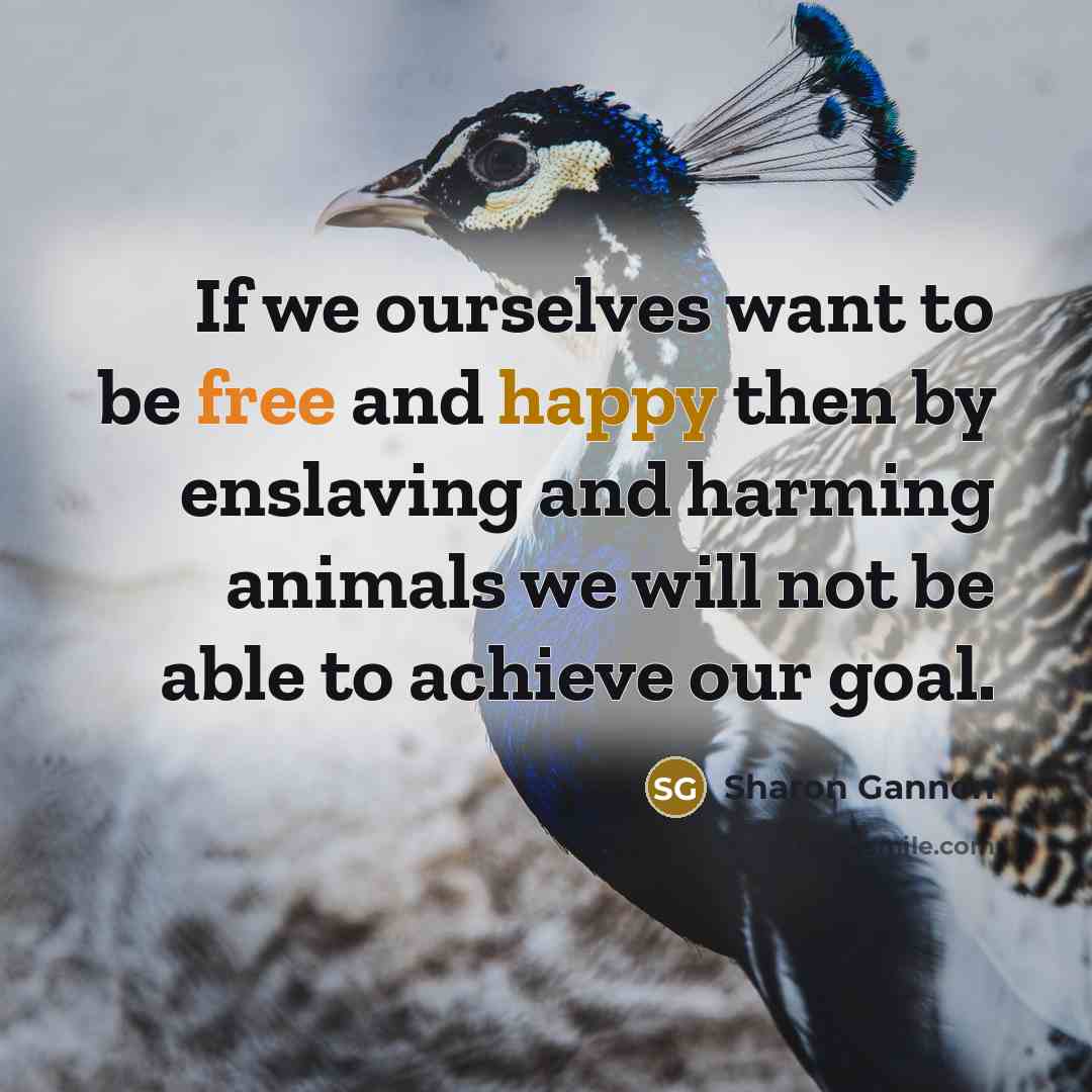“If we ourselves want to be free and happy then…” quote by Sharon Gannon