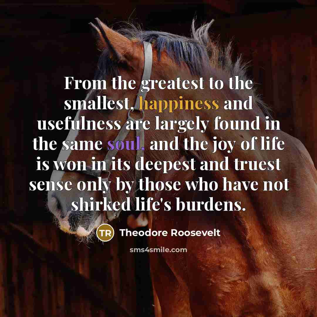 “From the greatest to the smallest, happiness and usefulness are…” quote by Theodore Roosevelt