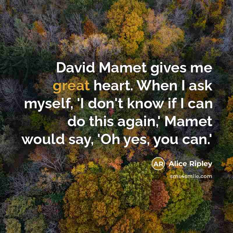 “David Mamet gives me great heart. When I ask myself,…” quote by Alice Ripley