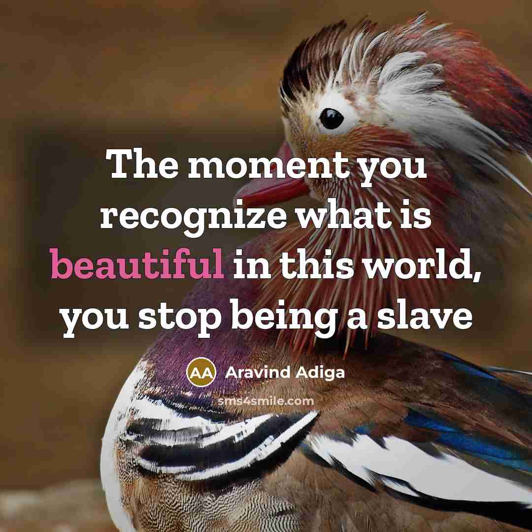“The moment you recognize what is beautiful in this world,…” quote by Aravind Adiga