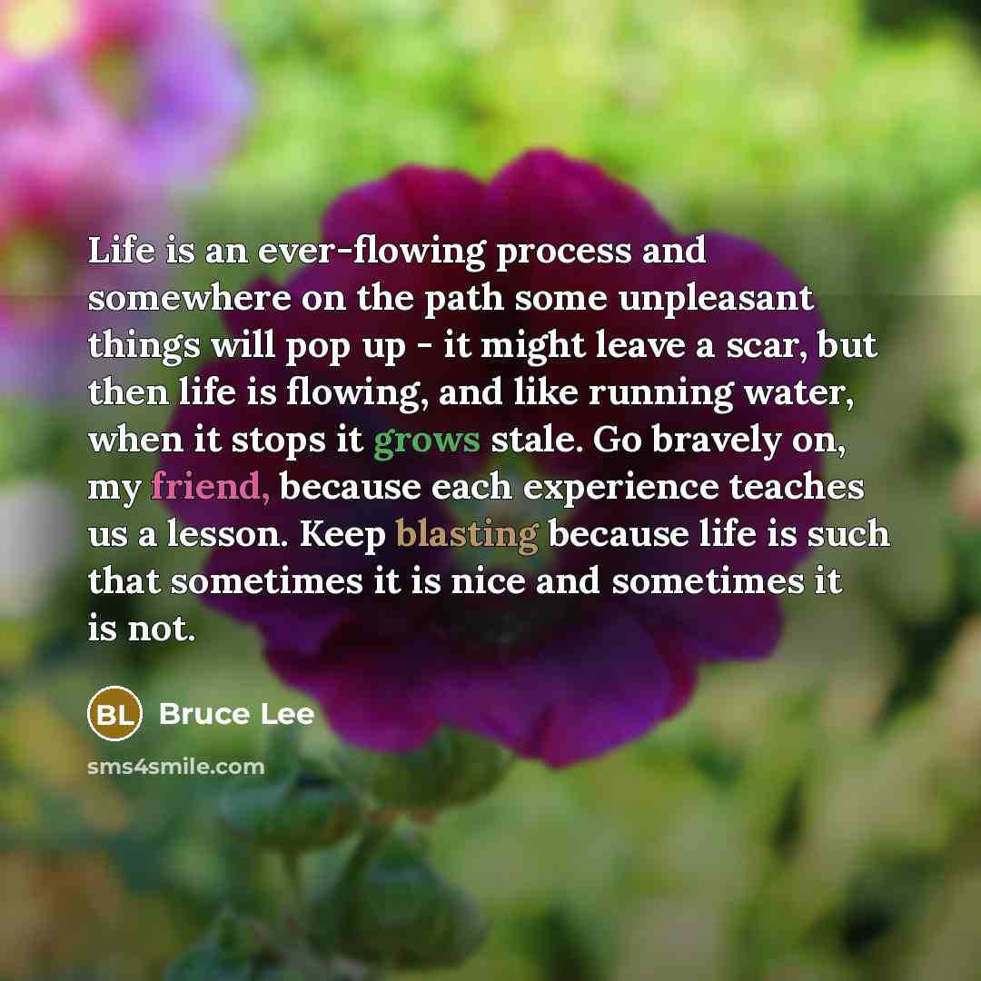 “Life is an ever-flowing process and somewhere on the path some unpleasant things will pop up - it might leave a scar, but then life is flowing, and like running water, when it stops it grows stale. Go bravely on, my friend, because each experience teaches us a lesson. Keep blasting because life is…” quote by Bruce Lee