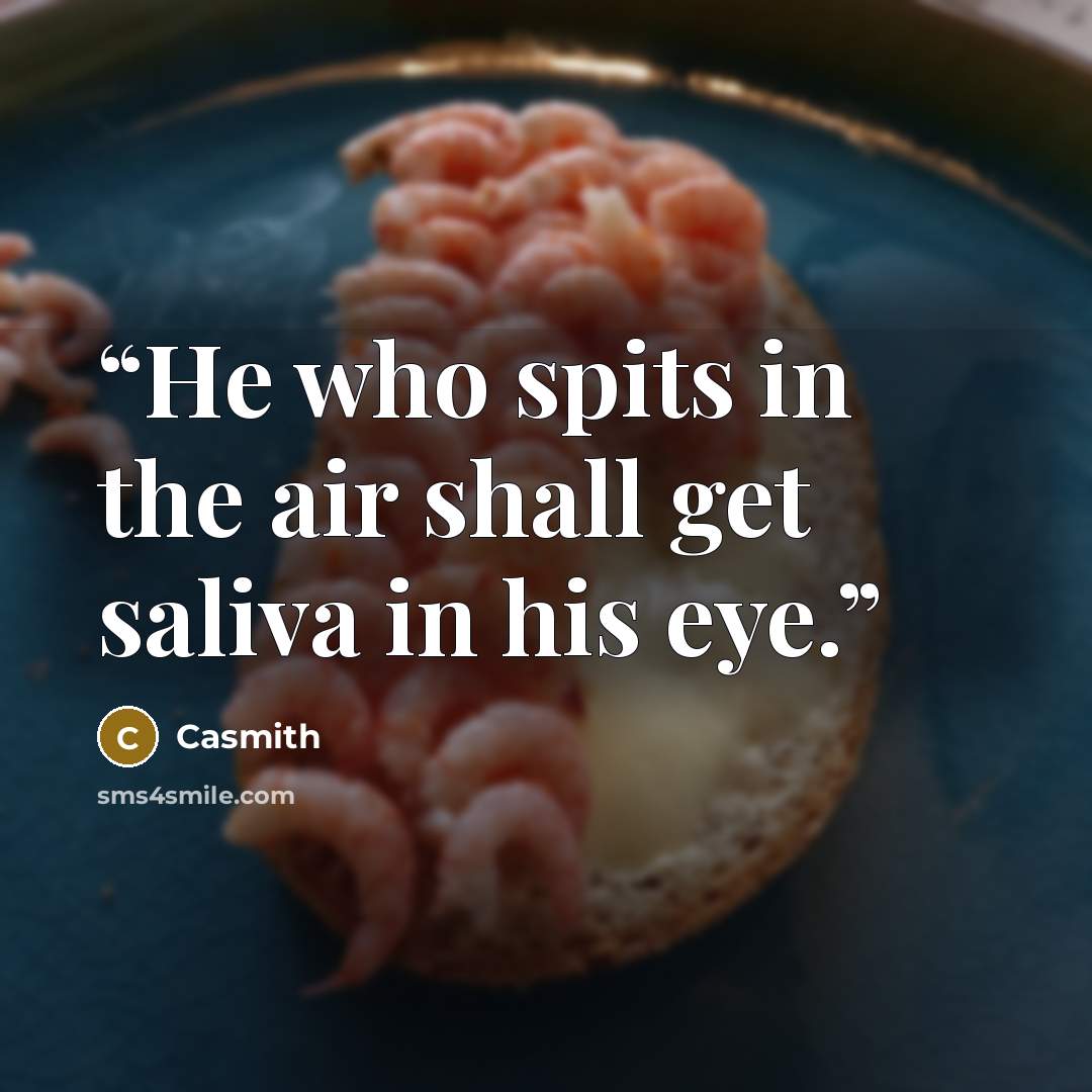 “He who spits in the air shall get saliva in his eye.” quote by Casmith