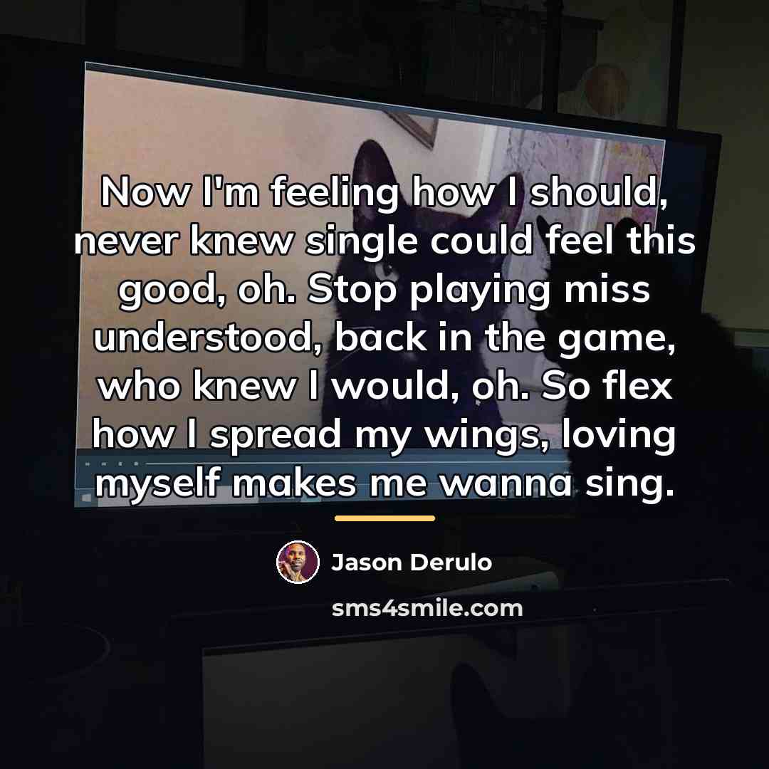 “Now I'm feeling how I should, never knew single could…” quote by Jason Derulo