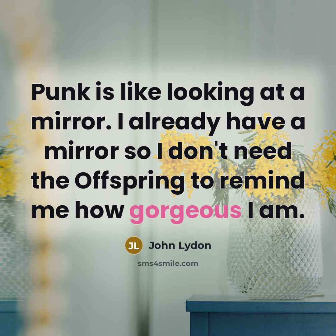 “Punk is like looking at a mirror. I already have…” quote by John Lydon