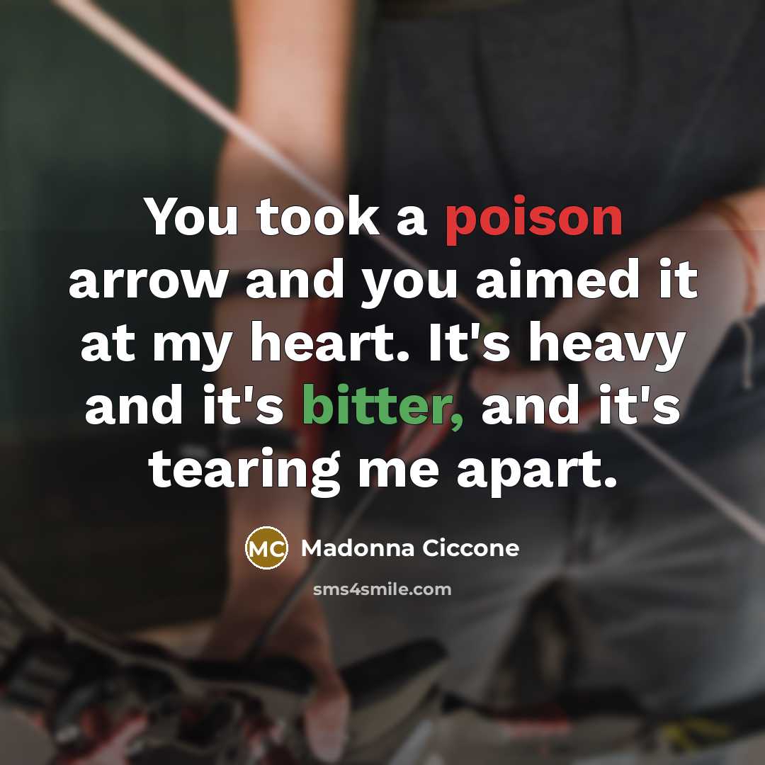 “You took a poison arrow and you aimed it at…” quote by Madonna Ciccone