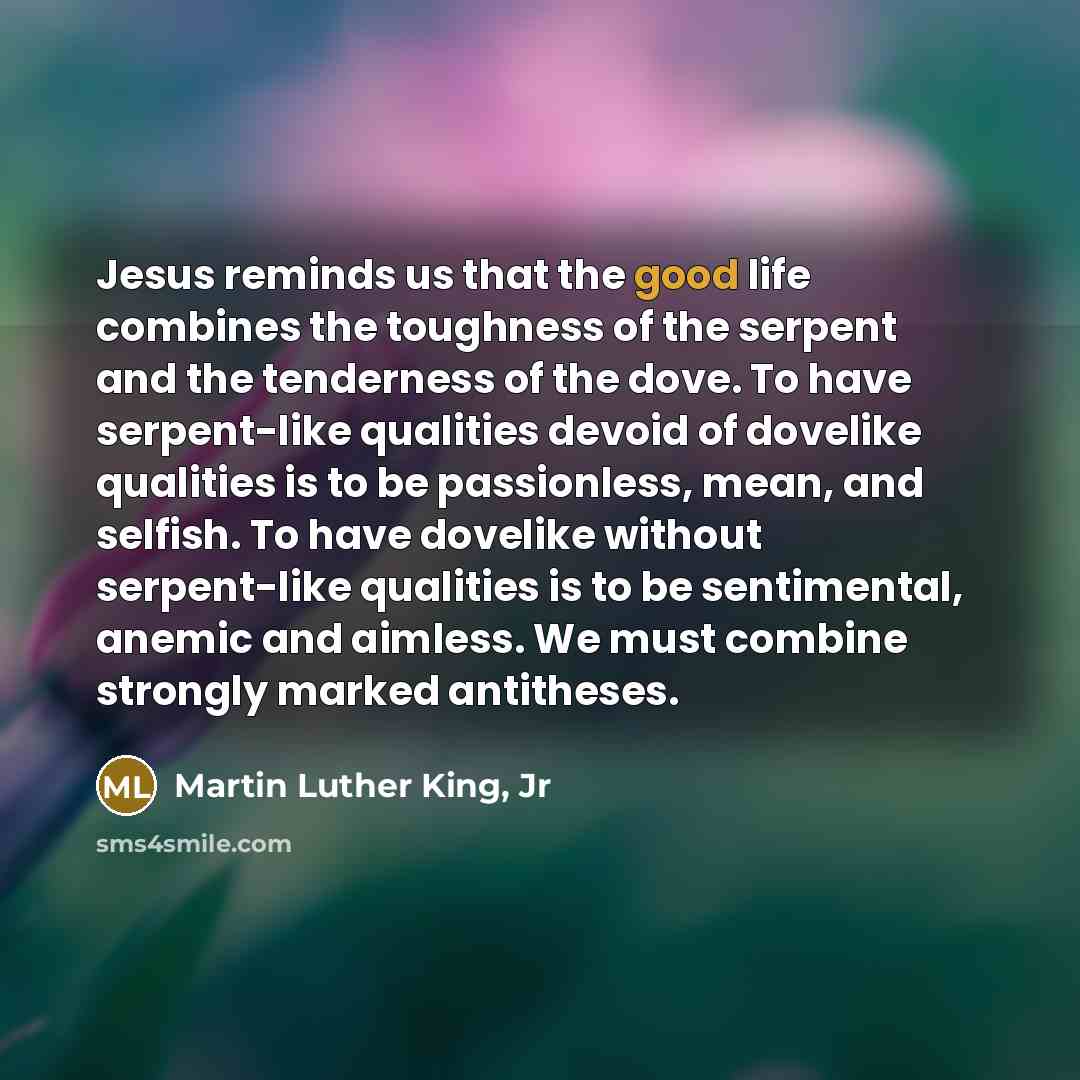 “Jesus reminds us that the good life combines the toughness…” quote by Martin Luther King, Jr