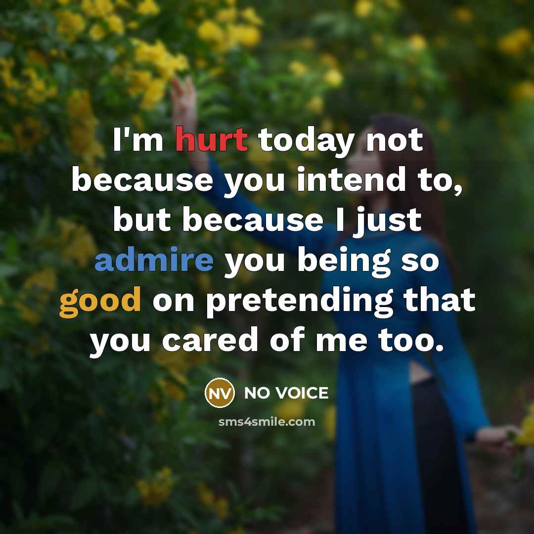 “I'm hurt today not because you intend to, but because I just admire you being so good on pretending that you cared of me too.” quote by NO VOICE