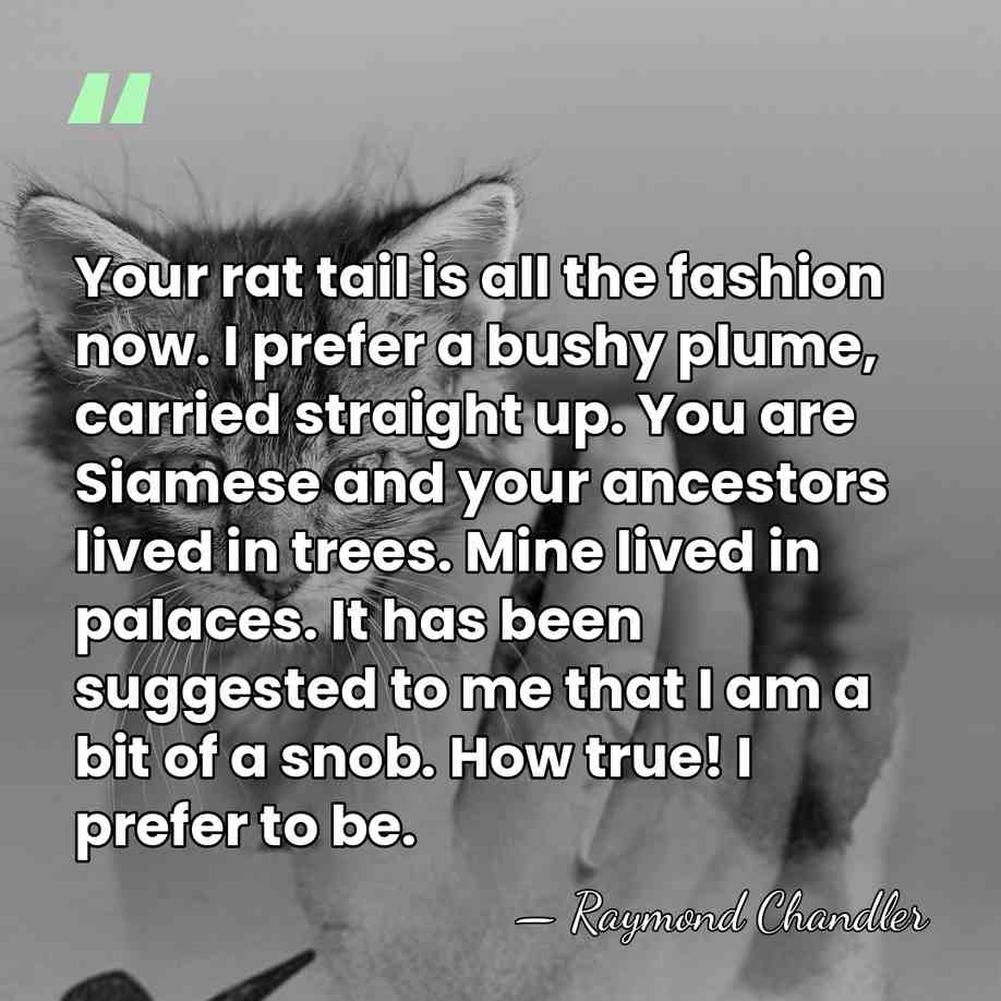 Your rat tail is all the fashion now. I prefer a bushy&hellip; - Raymond Chandler