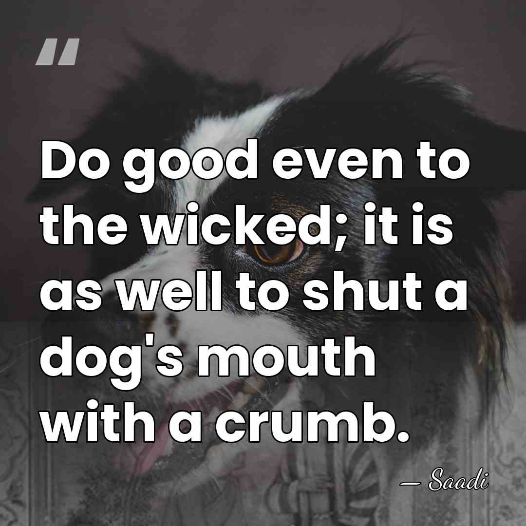Do good even to the wicked; it is as well to shut&hellip; - Saadi